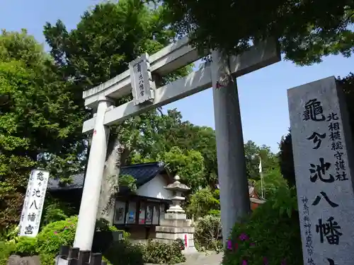 亀ケ池八幡宮の鳥居