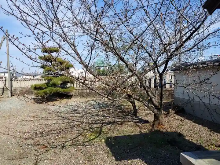 野中寺の{uncategorized: "未分類", other: "その他", undefined: "問題あり", building: "その他建物", grave: "お墓", sacred_gate: "鳥居", guardian: "狛犬", statue: "像", buddha: "仏像", history: "歴史", nature: "自然", garden: "庭園", animal: "動物", pagoda: "塔", temizu: "手水舎", mountain_gate: "山門・神門", sanctuary: "本殿・本堂", subordinate: "末社・摂社", art: "芸術", scenery: "景色", jizo: "地蔵", ema: "絵馬", goshuin: "御朱印", omikuji: "おみくじ", items: "授与品その他", amulet: "お守り", goshuincho: "御朱印帳", eats: "食事", festival: "お祭り", votive_dance: "神楽", shichigosan: "七五三参", wedding: "結婚式", experience: "体験その他", initially: "初詣", around: "周辺", anti_infection: "感染症対策"}