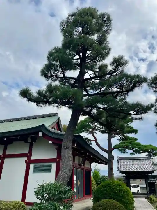 善明寺(東京都)
