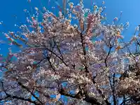 苗穂神社(北海道)