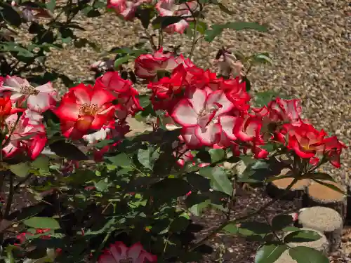 霊山寺(奈良県)