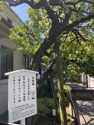 泉岳寺(東京都)