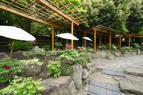 鶴岡八幡宮の庭園