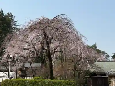 喜多院(埼玉県)
