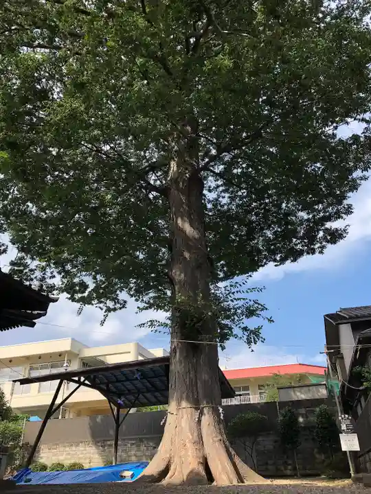 宮城野八幡神社(宮城県)