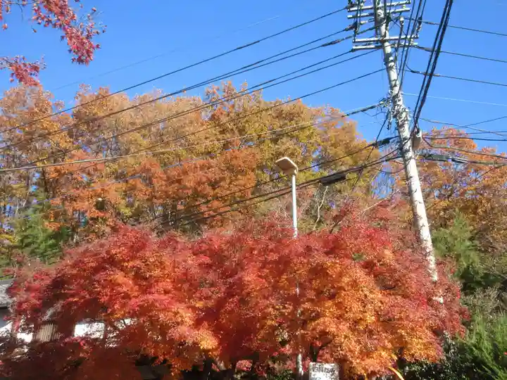 秩父札所1番 四萬部寺(埼玉県)