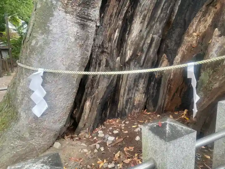 阿邪訶根神社(福島県)