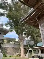 瀧口神社のその他建物