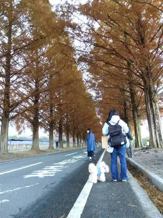 大處神社の周辺