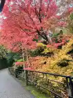 三千院門跡の{uncategorized: "未分類", other: "その他", undefined: "問題あり", building: "その他建物", grave: "お墓", sacred_gate: "鳥居", guardian: "狛犬", statue: "像", buddha: "仏像", history: "歴史", nature: "自然", garden: "庭園", animal: "動物", pagoda: "塔", temizu: "手水舎", mountain_gate: "山門・神門", sanctuary: "本殿・本堂", subordinate: "末社・摂社", art: "芸術", scenery: "景色", jizo: "地蔵", ema: "絵馬", goshuin: "御朱印", omikuji: "おみくじ", items: "授与品その他", amulet: "お守り", goshuincho: "御朱印帳", eats: "食事", festival: "お祭り", votive_dance: "神楽", shichigosan: "七五三参", wedding: "結婚式", experience: "体験その他", initially: "初詣", around: "周辺", anti_infection: "感染症対策"}