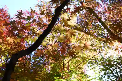 禅林寺(永観堂)(京都府)