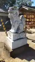 櫻岡大神宮の狛犬