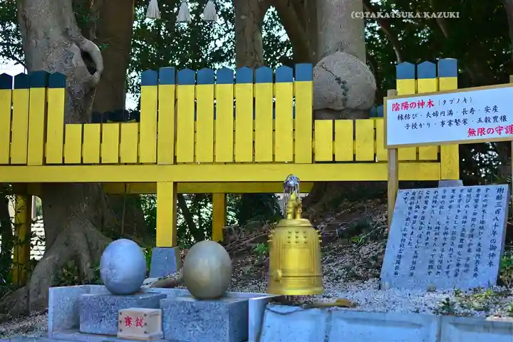 ほしいも神社(茨城県)