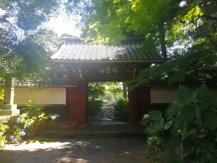 本光寺の山門・神門