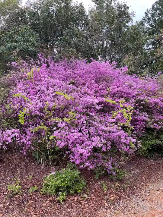 貴船神社の自然