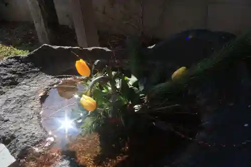 愛宕神社の手水舎