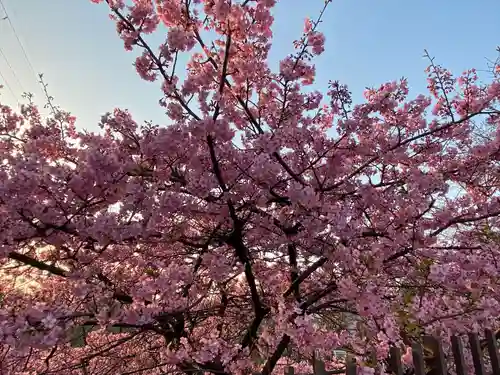 長円寺(京都府)