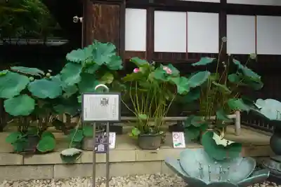 深大寺のその他建物