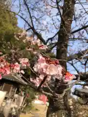 高山寺の自然