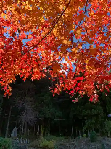 長瀧寺の自然