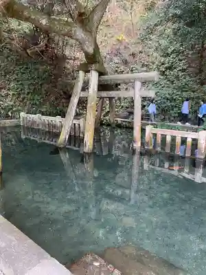 奥宮(鹿島神宮摂社)(茨城県)