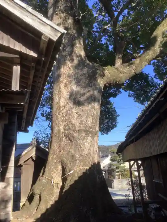 関川社(赤坂町)の自然