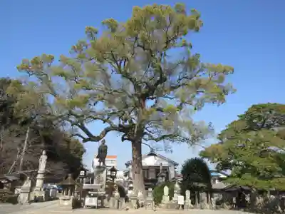 香西寺(香川県)