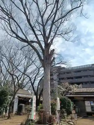 敷島神社(埼玉県)