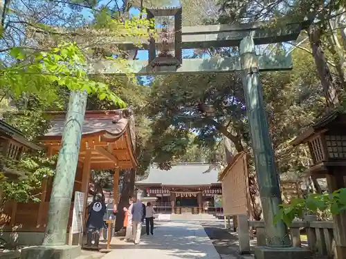 平塚八幡宮の鳥居