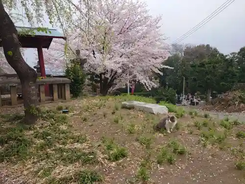 万徳寺の景色