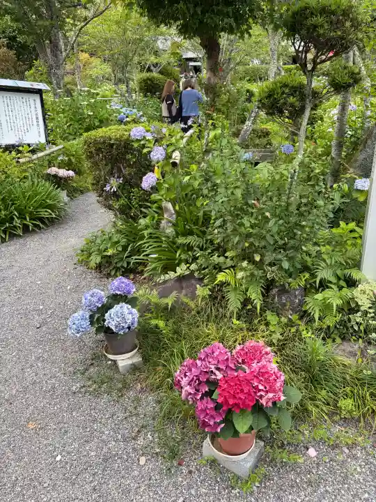 極楽寺(静岡県)