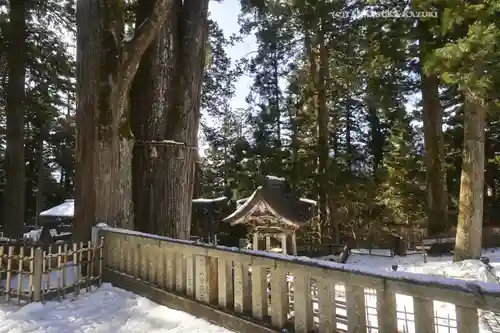 三峯神社(埼玉県)
