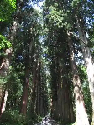 戸隠神社奥社(長野県)