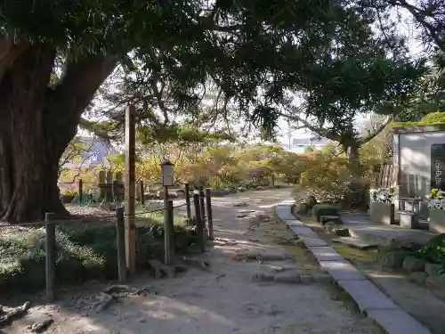 安養院　(田代寺）のその他建物