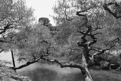 平安神宮の庭園