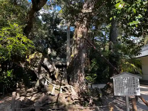 大山祇神社(愛媛県)