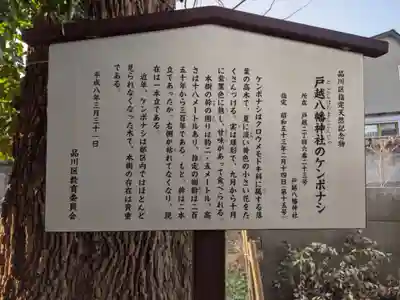 戸越八幡神社の歴史