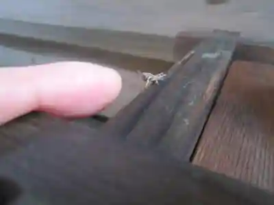 屋久島大社(鹿児島県)