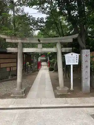 富岡八幡宮の鳥居