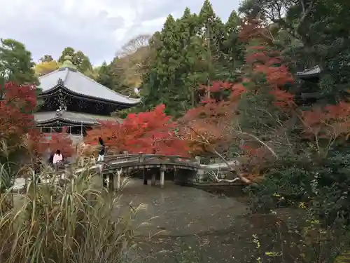 知恩院の本殿・本堂