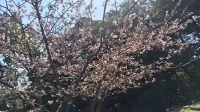 近江神宮(滋賀県)