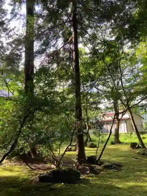 平泉寺白山神社(福井県)