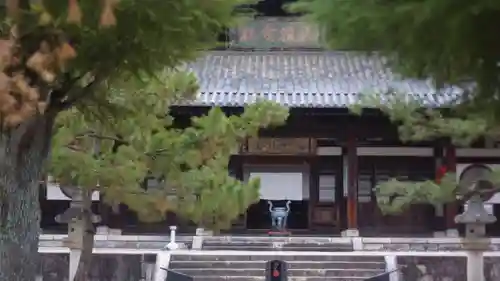 萬福寺(京都府)