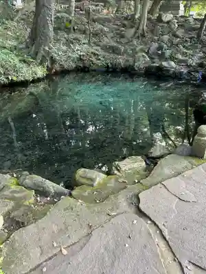 泉神社(茨城県)