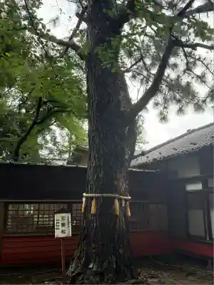 前原御嶽神社(千葉県)