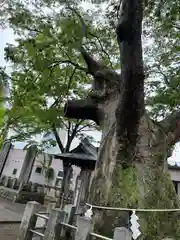 阿邪訶根神社(福島県)