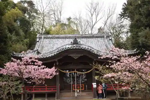 吾妻神社の本殿・本堂