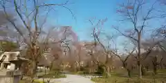 平野神社の御朱印