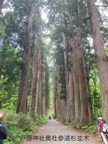 戸隠神社九頭龍社(長野県)