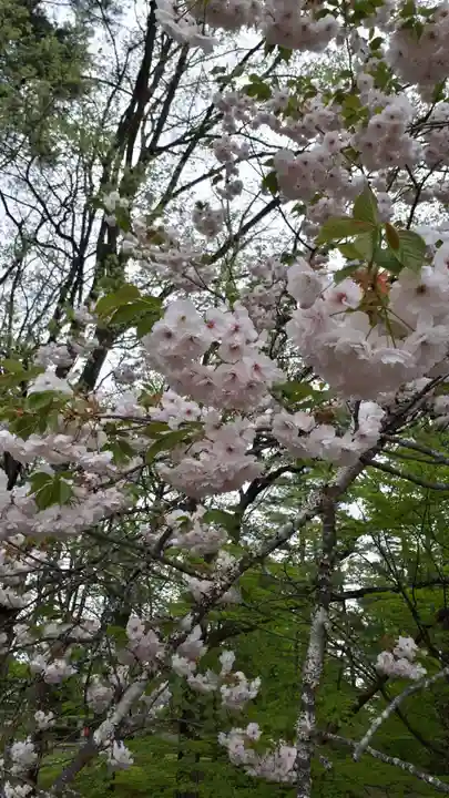 牡丹稲荷神社の自然